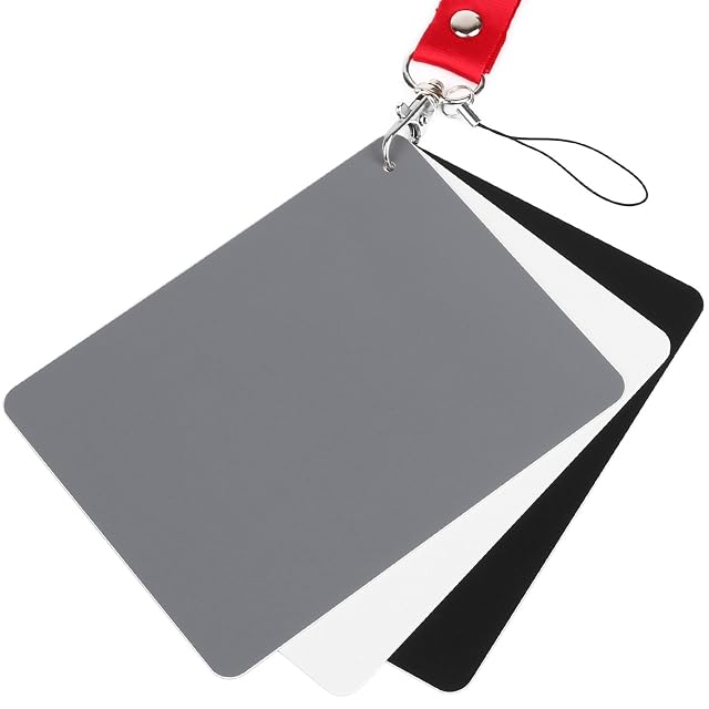 Set ChromLives di cartoncini di riferimento nero, bianco e grigio sul loro cordino